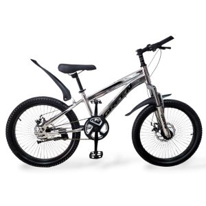 BICICLETA HOMBRE GREEN XTREME ROD 20